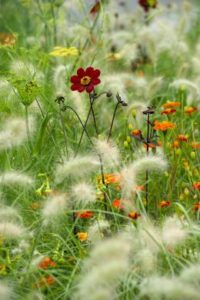 jardin romantique