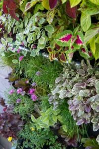 L’espace extérieur dont vous disposez est restreint ? Optez pour le jardinage à la verticale 