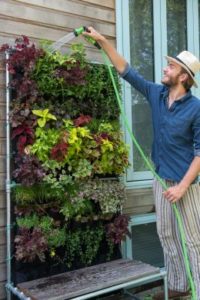 L’espace extérieur dont vous disposez est restreint ? Optez pour le jardinage à la verticale