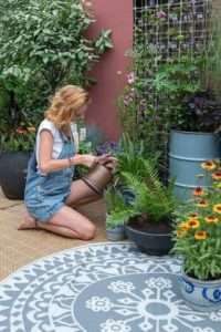 Les plantes de balcon nous donnent le sourire
