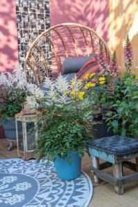Les plantes de balcon nous donnent le sourire