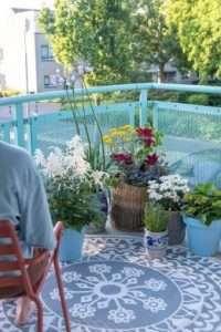 Les plantes de balcon nous donnent le sourire